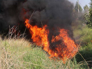 Tankerler çarpıştı, ortalık savaş alanına döndü