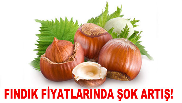 Fındık fiyatlarında şok artış!