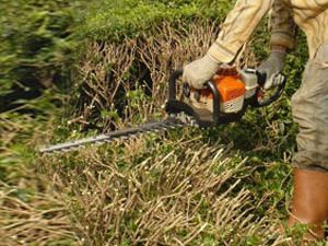 Bölge için üzücü haber!