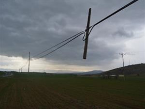 Bu telefon direği diğerlerinden farklı