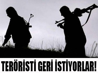 Türkiye'ye yönelik en üst düzeyde talep