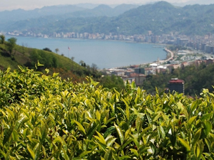 Doğu Karadeniz o açıklamayı bekliyor