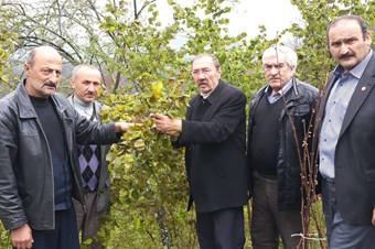 Fındık çok sancılı yılında!