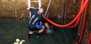 Yine çocuk yine havuz faciası!