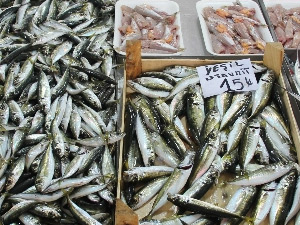 Av yasağı başlıyor,fiyatlar artıyor...