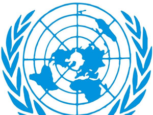 Ukrayna BM’den yardım istedi