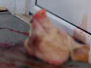 Müslümanlara korkunç saldırı! Domuz başı...