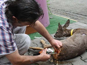 Trabzonlu'dan örnek davranış