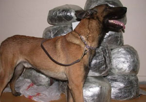 Almanya'da gençler uyuşturucu kıskacında