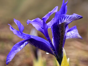 Trabzon'a biyolojik inceleme!