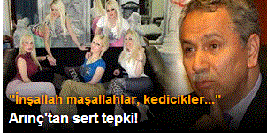 Kediciklere en sert tepki!