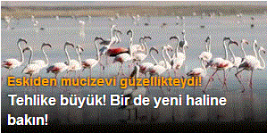 Tehlike büyük! Korkutan açıklama geldi