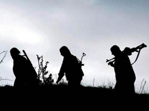 9 PKK’lı teslim oldu