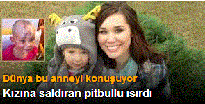 Kızına saldıran pitbullu ısırdı