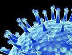 D.Karadeniz'de kanser riski artıyor!