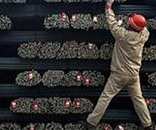 Kadro bekleyen işçiye üzücü haber!