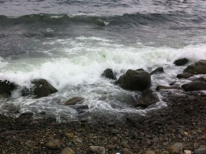 Trabzon'da genç kız kendini denize attı