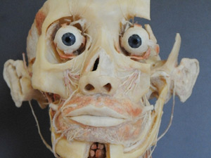 Suç işleyip deli rolü yapanlar yandı