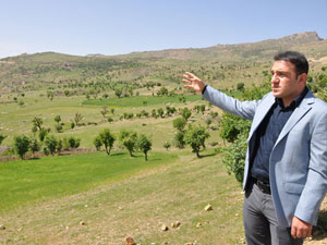 Nuh'un gemisi Türkiye'ye gelecek!