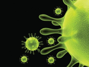 Corona virüsü 7 kişiyi öldürdü