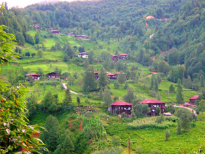 Rize'nin cennet vadisi için umut doğdu!