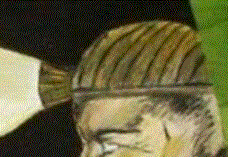 Türkiye'yi ağlatan çizim...