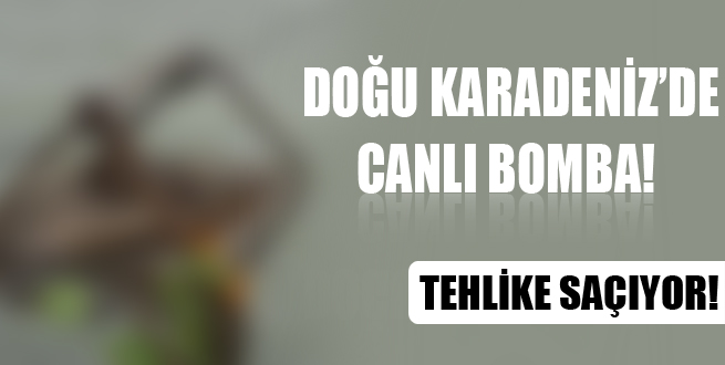 D. Karadeniz'de canlı bomba!