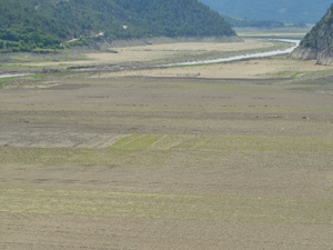 Karadeniz’de korkutan tablo