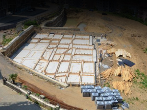 Trabzon o parka kavuşuyor