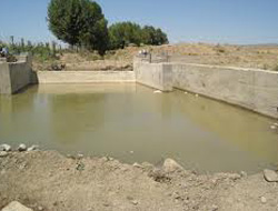 Şişe toplamak isterken!