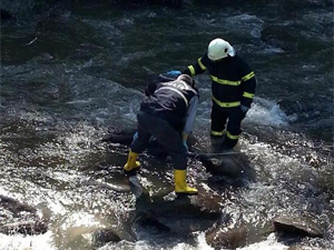 Ordu'da derede ceset bulundu!
