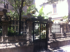 Trabzon'da o ağaçları kestiler!