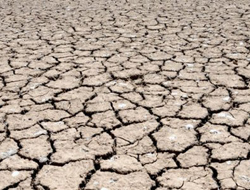 Kar yağışı kuraklık riskini arttırdı!