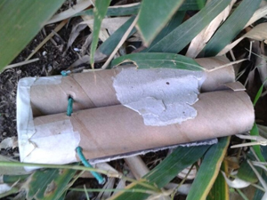 Polisin dikkati faciayı önledi