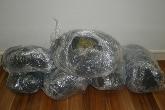 Esrarcılara göz açtırmadılar!