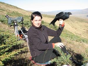 Trabzon Dağ horozu koruma altında