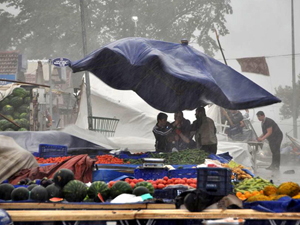 Trabzon'da endişe verici durum