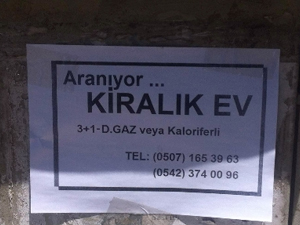 Böyle ilan görülmedi! Ev bulamayınca...