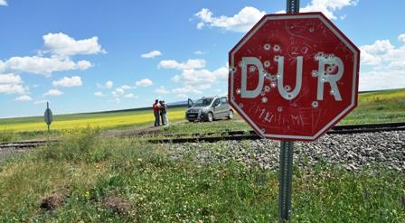 Tonya’da magandalar DUR’u vurdu