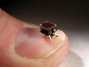 Böcek soruşturmasında yeni gelişme!