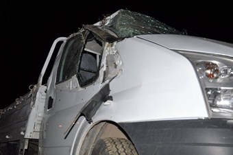 Arılar ekiplere saldırdı