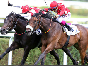 Gazi Koşusu Blaze To Win'in