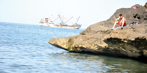 Kum kosterleri kıyılara dayandı