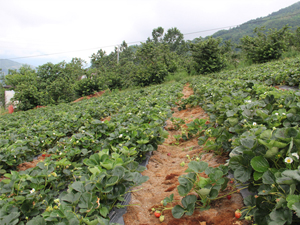 Trabzon'un yeni gözdesi!