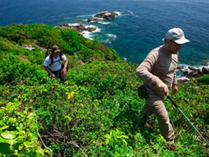 Bu adaya insanların girmesi yasaklandı!