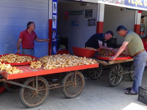 Giresun'da balık gitti mantar geldi