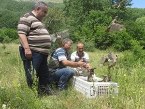Giresun kekliklerine kavuştu!