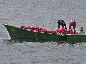Yasak avlanmaya geçit yok