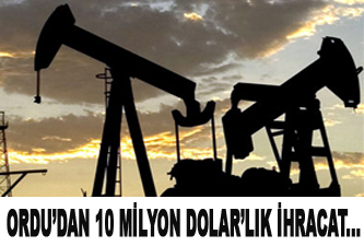 Ordu'dan 10 Milyon Dolar'lık ihracat!