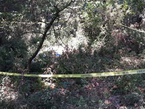 Kan donduran cinayet!